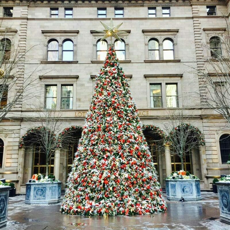 things to do in new york at christmas