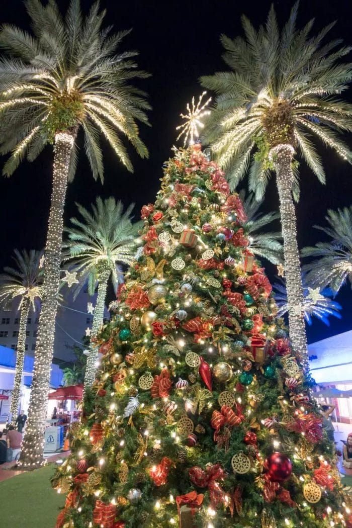11 Magical Things to Do in Miami at Christmas (Tips by a Local)